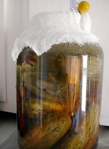 PICKLED CUCUMBER