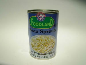 Canned Bean Sprouts