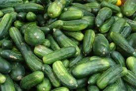 Fresh Cucumber for sale