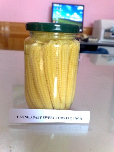 Pickled baby corn in glass jar
