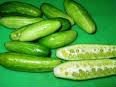 Preserved Gherkins