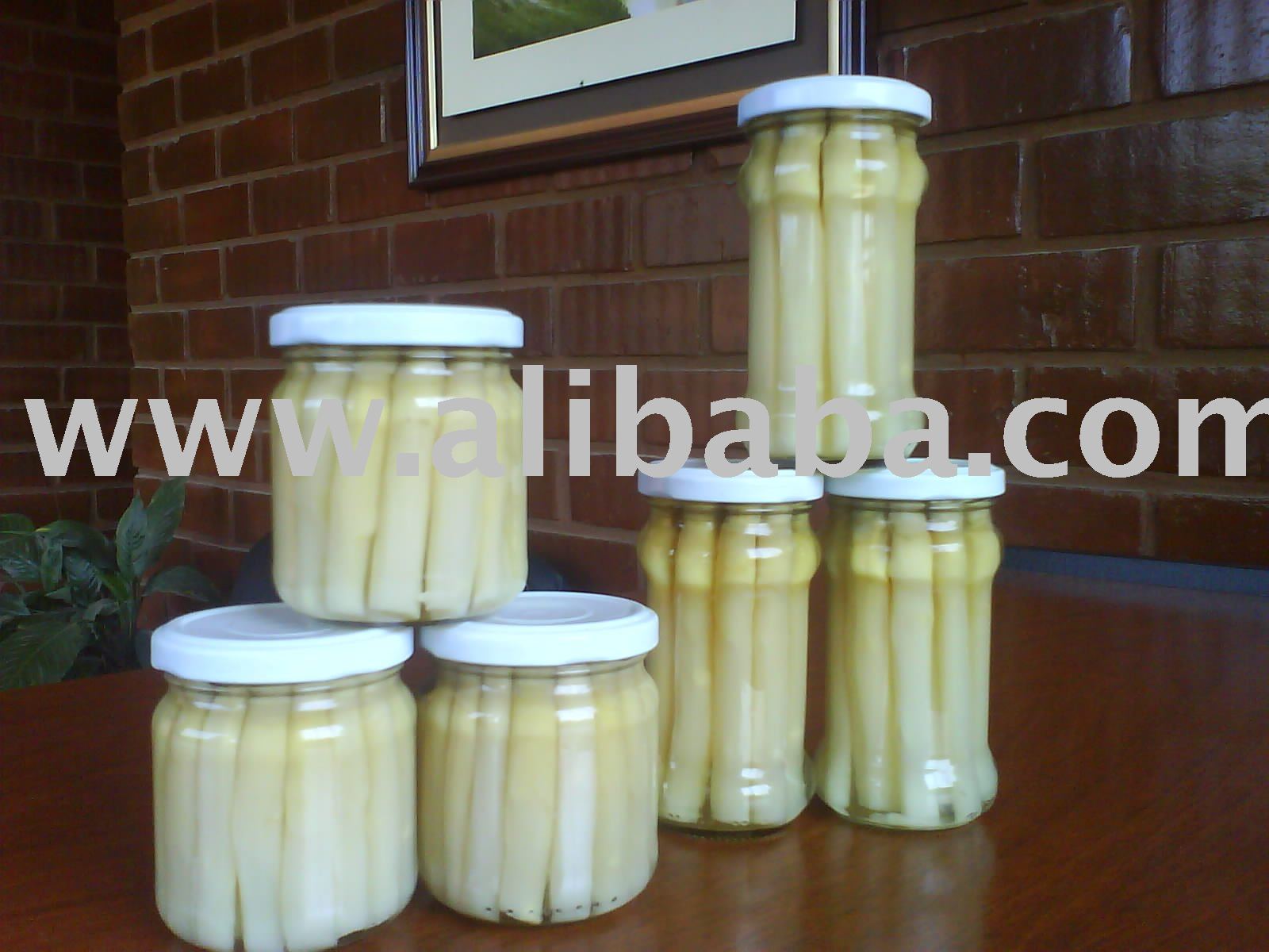 Canned  Asparagus 