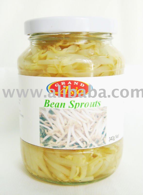Bean Sprouts in Glass  Jar 