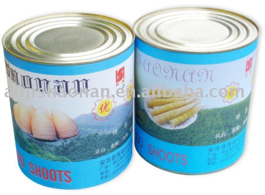 the shoot of mao bamboo shoots