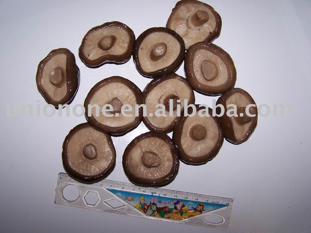shiitake mushroom