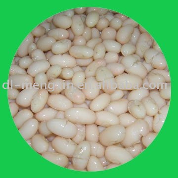 canned white kidney beans (canned food)