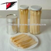 canned  asparagus  in  tins 