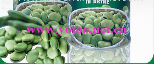 Canned Broad Beans, Broad Beans, Cannd Vegetables