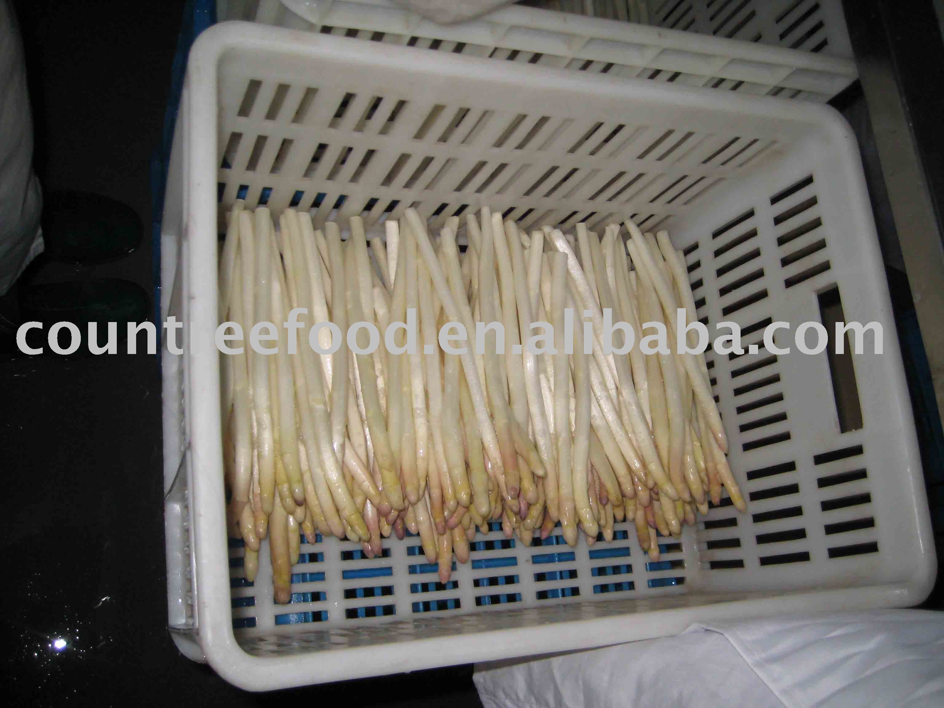 canned white asparagus spears in brine