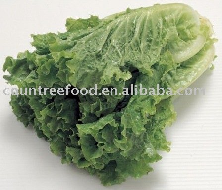  canned   cabbage 