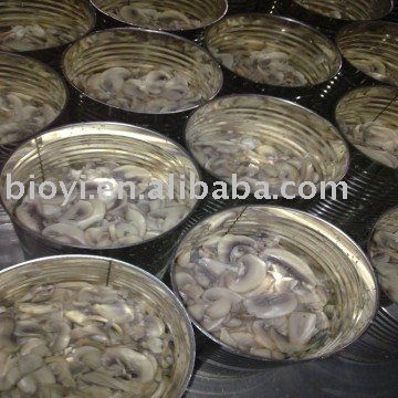New crop canned mushroom slices