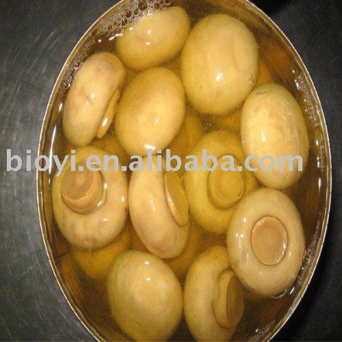 New crop canned mushroom whole