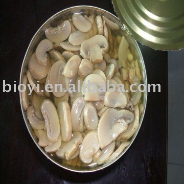 Canned  Mushroom  Slices in  water 