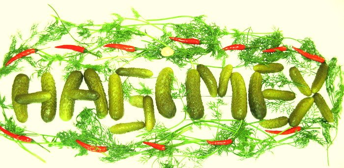Pickled cucumber from Hagimex
