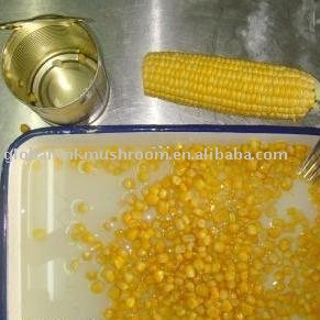 Canned sweet corn kernel