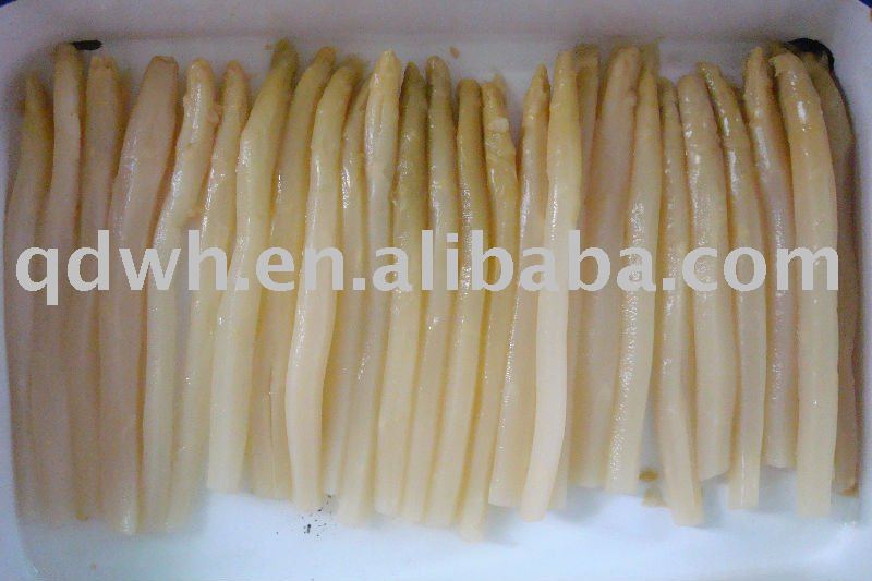 White asparagus in tin or glass jar