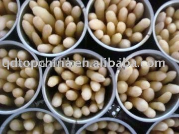 Canned Asparagus Spears