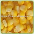 Canned sweet corn in light syrup