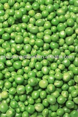 Nutritious   Delicious Can Green peas Top Quality Food Fresh Peas