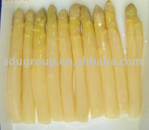 Canned White Asparagus Spear
