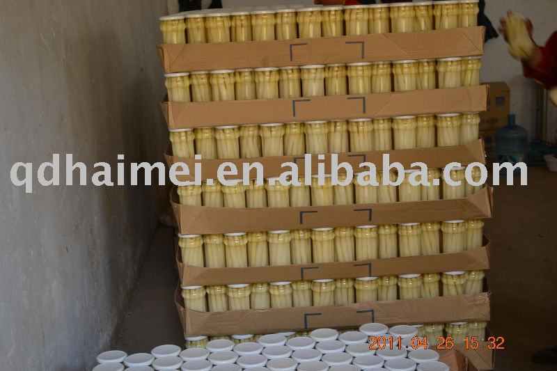 good  white asparagus canned  new crop 2011