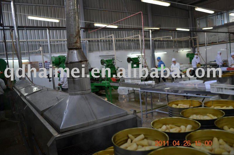 2011 new crop white asparagus canned  top quality