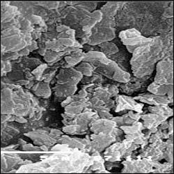 Hi-Mast (Magnesium Stearte)  Food