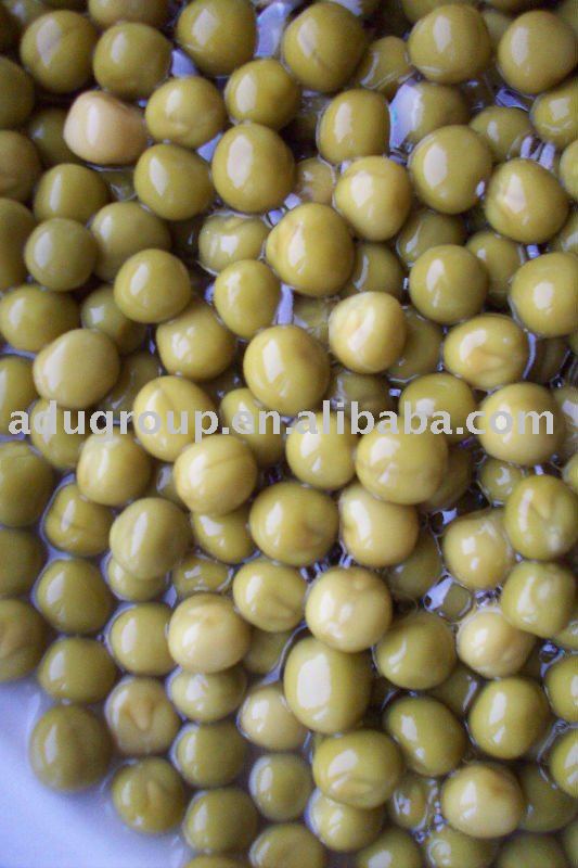 canned green peas(made of fresh peas) in best price,green peas in can