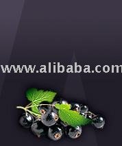 Let sGo Blackcurrant  Drink 