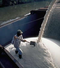 Sugar 18 Mln Tons