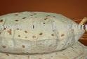 Gujarati Roti -vegetarian products