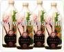 Lokahi (4 bottles)  Functional   Drinks 
