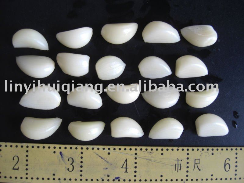 Peeled garlic in brine 2010