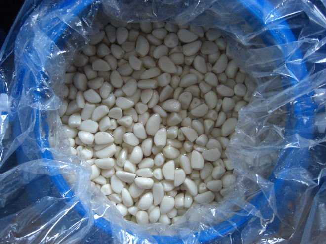 clove of  garlic 