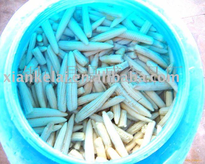 Canned  baby corn