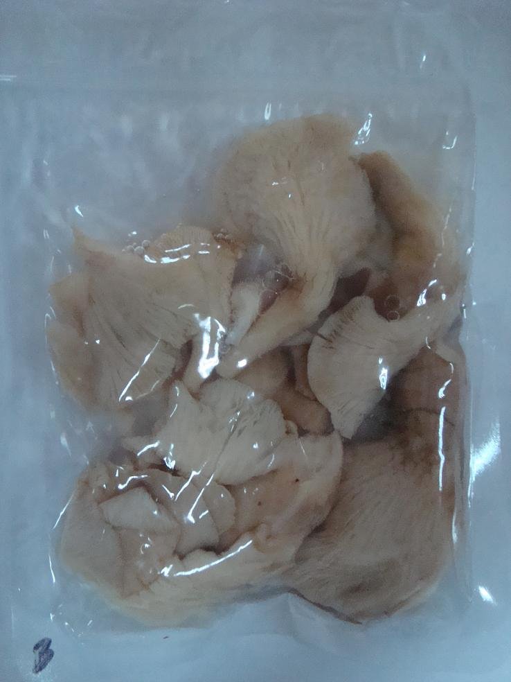 Water boiled abalone mushrooms- Whole