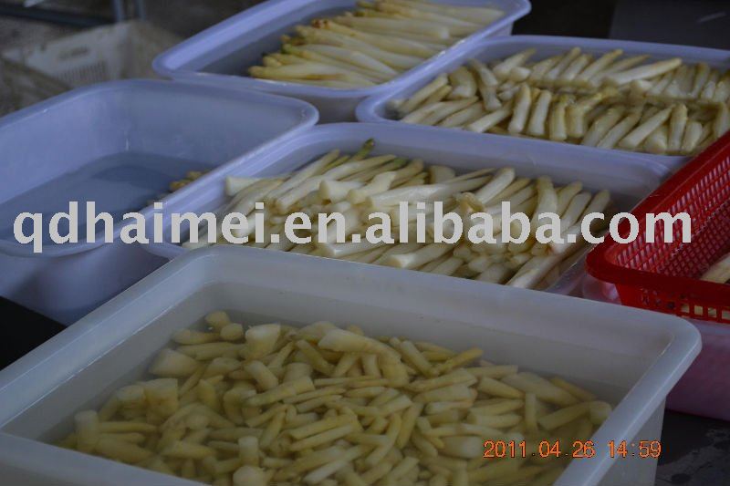 2011 TOP quality spear white asparagus canned