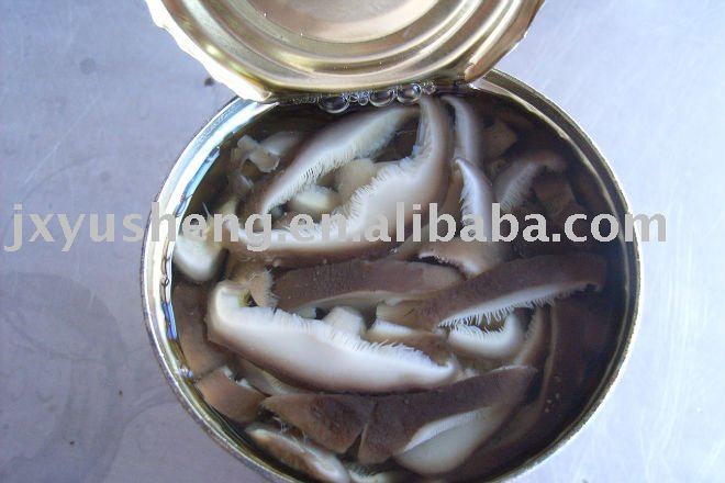 Canned pasania fungus slices (solid   liquid)