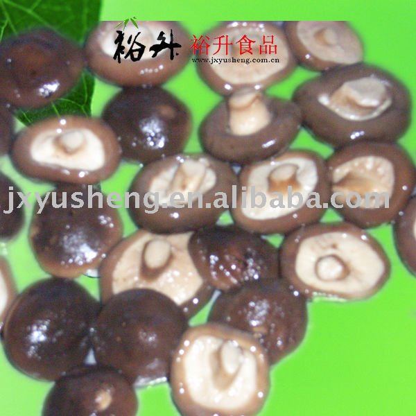 850g  Canned   shiitake   Mushroom   ( whole   slices)