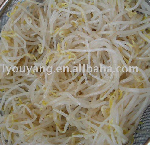 salted  bean sprouts