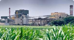 REFINED CANE SUGAR ICUMSA 45