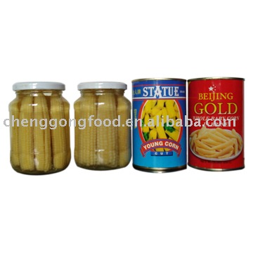 Canned  Baby   Corn  In  Tin 