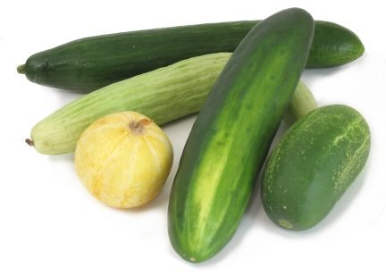 Freeze Dried Cucumber