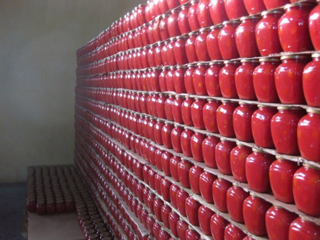 Pickled  tomatoes in tomato juice