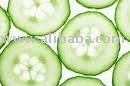 Canned Cucumber
