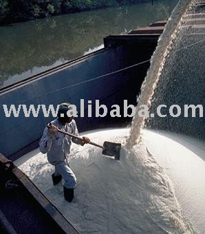 Cane Sugar