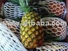 Fresh  pineapple 