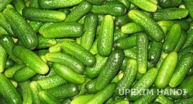 pickled gherkins 3-6 cm