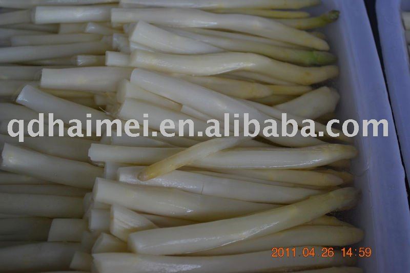 2011 good quality green asparagus canned new crop