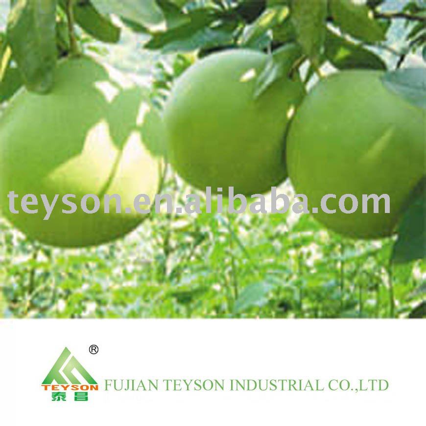 Fresh Pomelo from its origin Pinghe  China( citrus fruit)